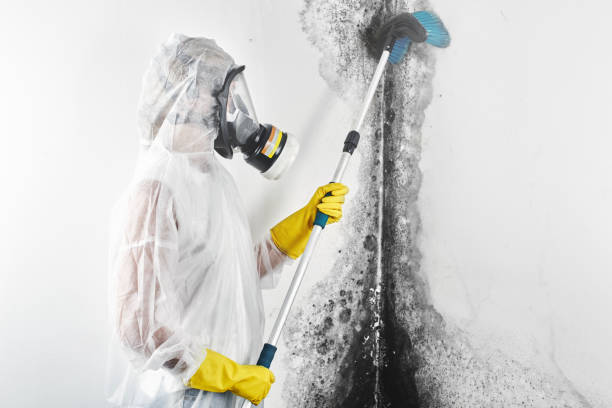 Best Air Quality Testing for Mold Spores  in Anaconda, MT