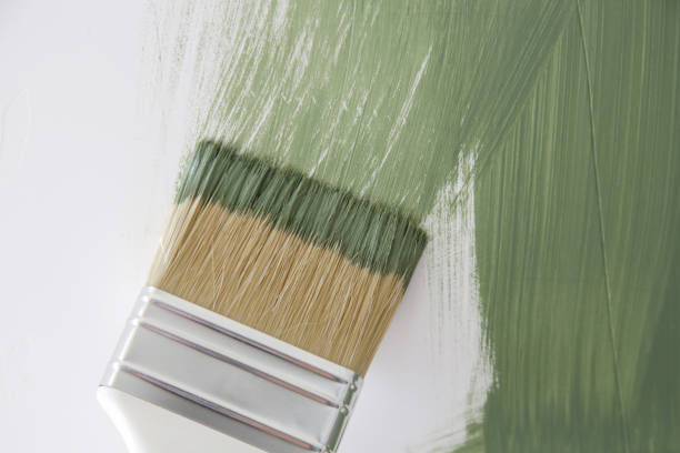 Best Black Mold Removal  in Anaconda, MT