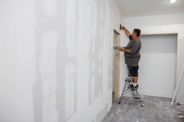 Mold Documentation for Insurance Claims in Anaconda, MT